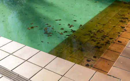 Würmer im Pool beseitigen mit diesen Tipps zur Pflege