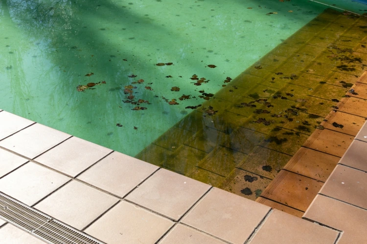 Würmer im Pool beseitigen mit diesen Tipps zur Pflege