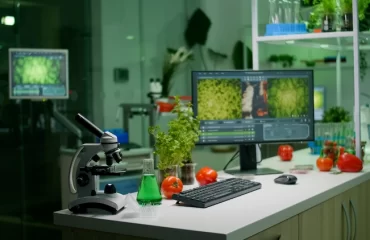 neuartige gentechnologie zur entwicklung von tomaten als nahrungsquellen für vitamin d