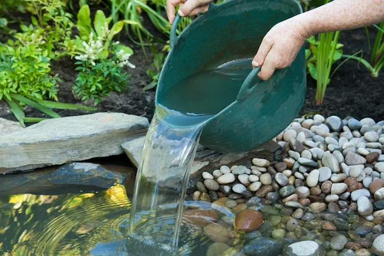 regelmäßig im sommer mit einem gefäß wasser nachfüllen und mit mehr sauerstoff den gartenteich pflegen