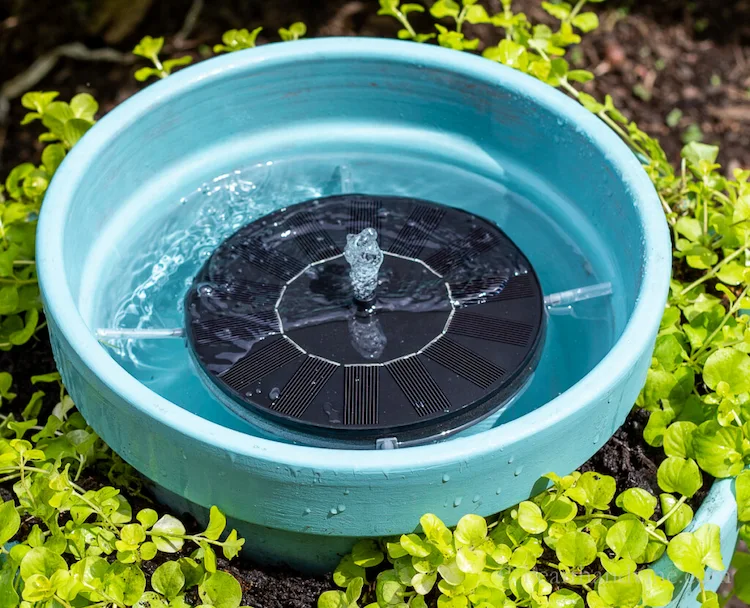 solarbetriebene springbrunnenpumpe ideal für kleine installationen mit bepflanzung
