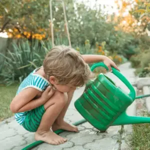 Der Garten im August und die wichtigsten Gartenarbeiten