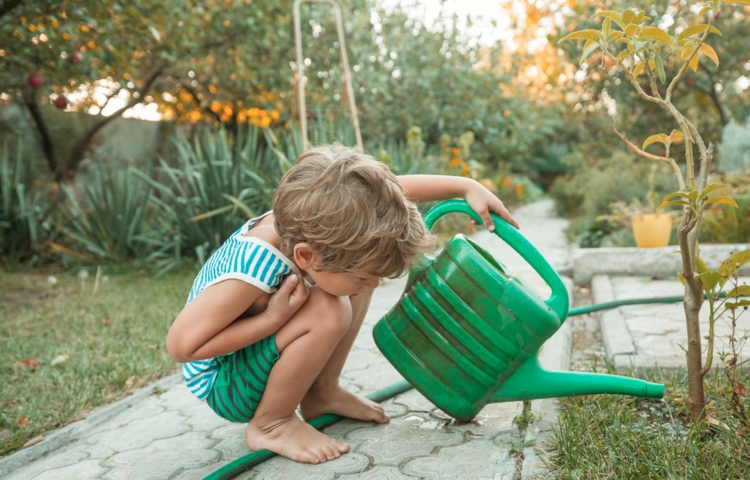 Der Garten im August und die wichtigsten Gartenarbeiten