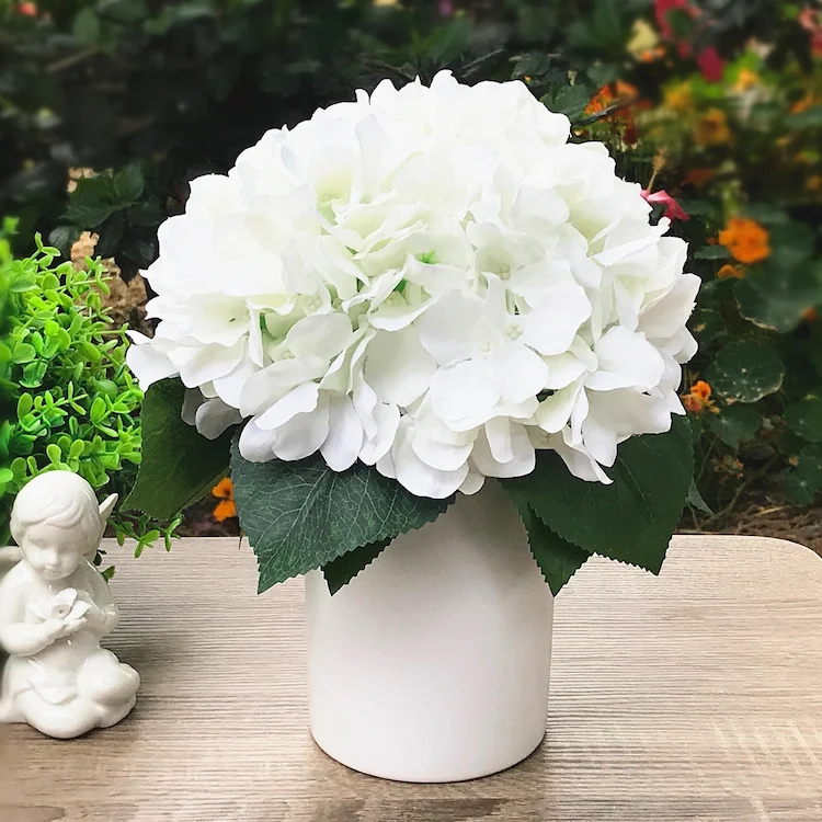 Eine der einfachsten Arten, Hortensien zu präsentieren, ist in einer Vase auf dem Tisch