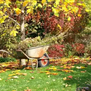 Gartenarbeit im September - Wie Sie den Garten Anfang Herbst pflegen