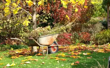 Gartenarbeit im September - Wie Sie den Garten Anfang Herbst pflegen