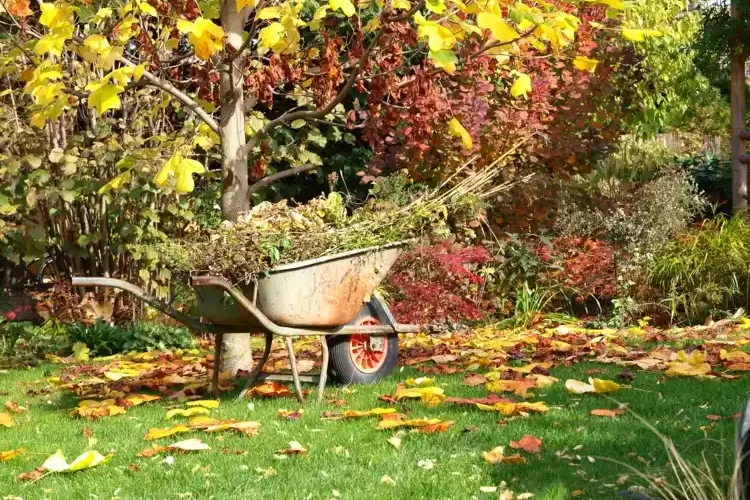 Gartenarbeit im September - Wie Sie den Garten Anfang Herbst pflegen
