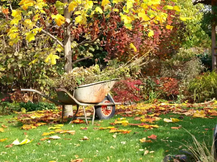 Gartenarbeit im September - Wie Sie den Garten Anfang Herbst pflegen