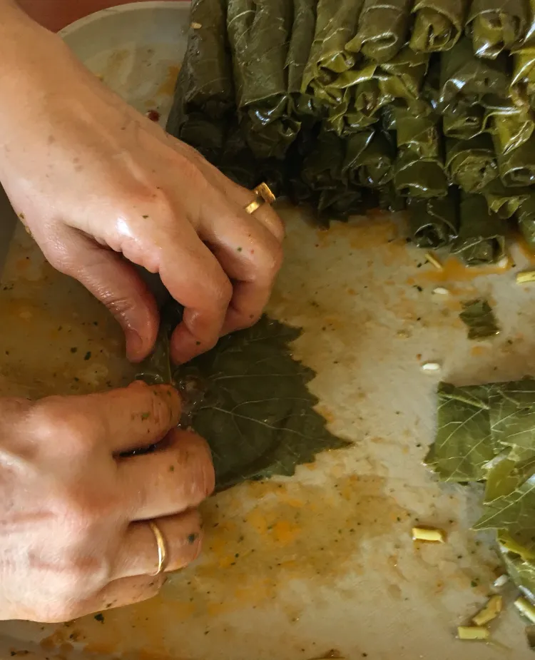 Gefüllte Weinblätter arabisch vegetarische Vorspeisen einfach