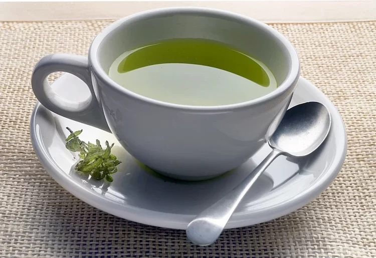 Grüner Tee kann die Gewichtsabnahme fördern, indem er den Körper zur Fettverbrennung anregt