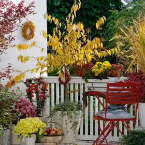 Herbst Balkon Garten - Tipps und Ideen, wie Sie einen anlegen können