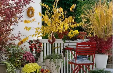 Herbst Balkon Garten - Tipps und Ideen, wie Sie einen anlegen können