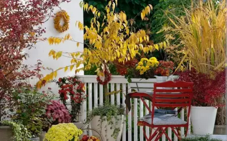 Herbst Balkon Garten - Tipps und Ideen, wie Sie einen anlegen können