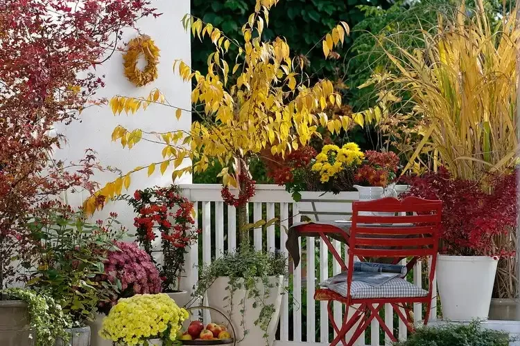 Herbst Balkon Garten - Tipps und Ideen, wie Sie einen anlegen können