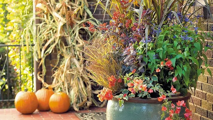Herbst Balkon Garten anlegen - Verpassen Sie keine Laubpflanzen