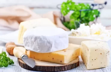 Kann man Camembert Käse einfrieren welche Käsesorten halten am längsten