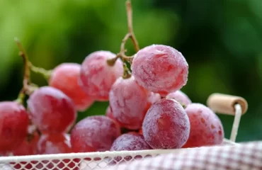 Kann man Weintrauben einfrieren - Tipps und Anleitung