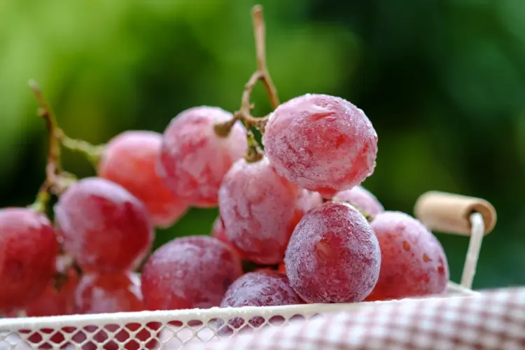 Kann man Weintrauben einfrieren - Tipps und Anleitung