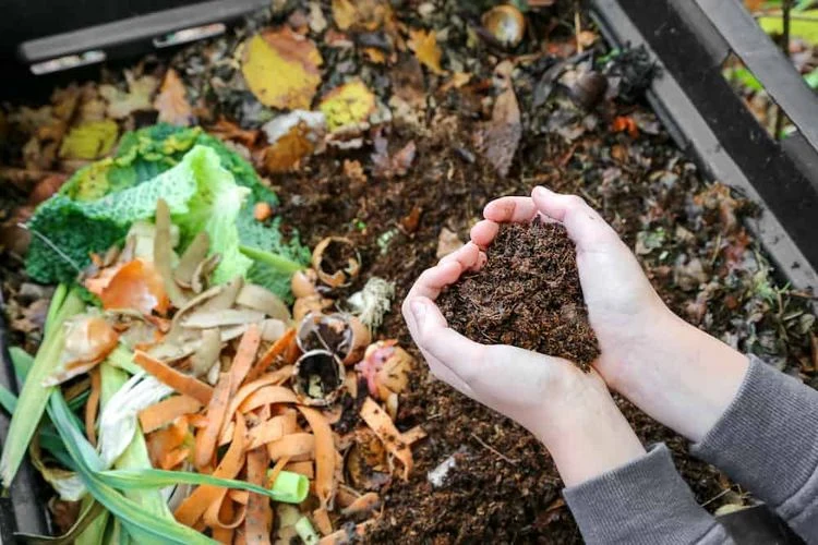 Kompostieren Sie die Erde