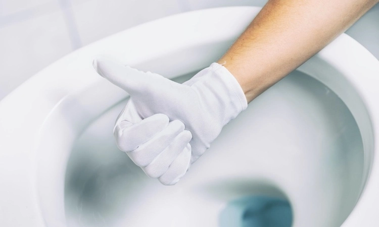 Tipps und Hausmittel Toilette effektiv von Urinstein befreien