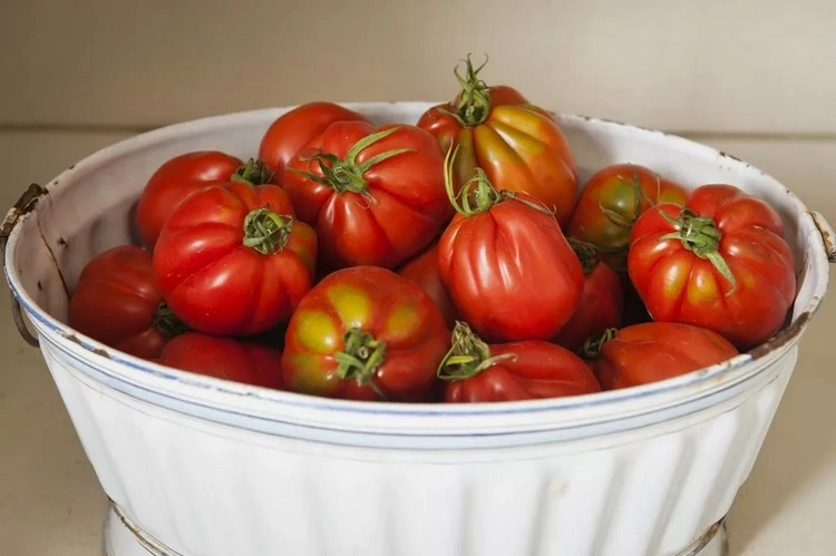 Tomaten haltbar machen durch Einfrieren - Befolgen Sie diese Anleitung