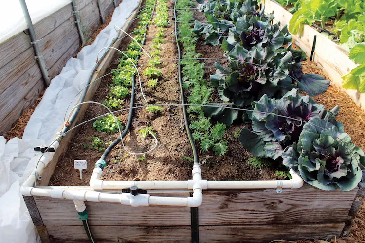 Tropfbewässerung selber bauen für den Garten - Wie Sie kostengünstig und nachhaltig Ihre Pflanzen bewässern