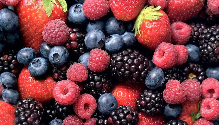 Wie andere Früchte enthalten auch Beeren viel Wasser und Ballaststoffe, die Sie länger satt halten können