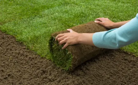 bei niedrigen temperaturen rollrasen im herbst verlegen und grüne flächen erhalten