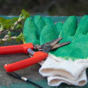 benötigtes zubehör zur reinigung und pflege von gartenwerkzeug wie astschere oder andere schneidegeräte