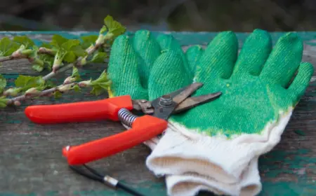 benötigtes zubehör zur reinigung und pflege von gartenwerkzeug wie astschere oder andere schneidegeräte