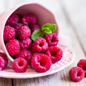 frische Himbeeren haltbar machen mit Essig wie Beeren einfrieren