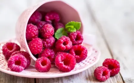 frische Himbeeren haltbar machen mit Essig wie Beeren einfrieren