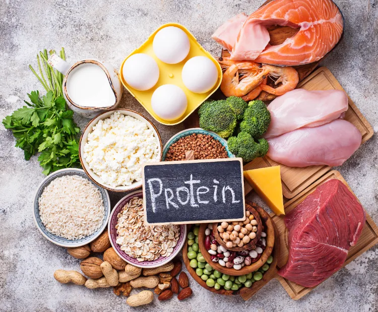 gesunde Proteinquellen wieviel Protein am Tag Anzeichen für Proteinmangel