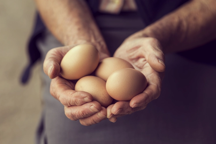 im freiland gelegte eier enthalten zahlreiche gesunde und entzündungshemmende nährstoffe