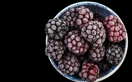 in einer schüssel brombeeren einfrieren und im winter gesunde vitamine und ballaststoffe genießen