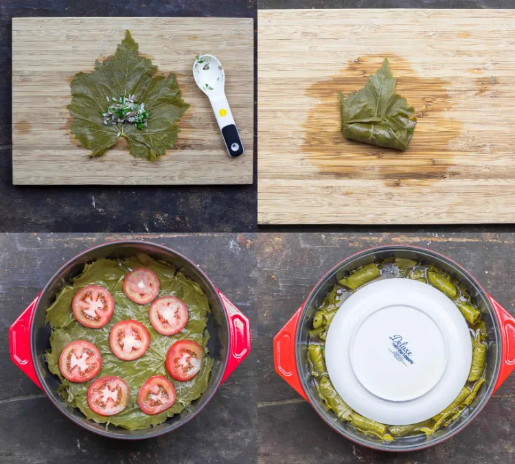 schnelle vegetarische Vorspeisen gefüllte Weinblätter mit Kichererbsen