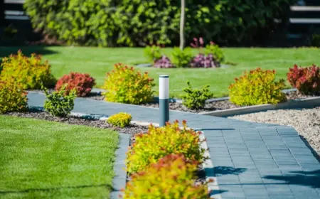 sonniger garten mit prakitschen gehwegen und beleuchtung zwischen blühenden pflanzen