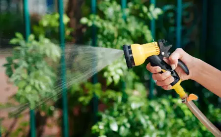 wann ist es zu heiß für Pflanzen Garten vor Hitze schützen Tipps