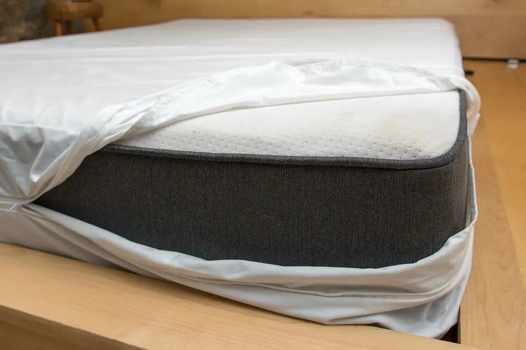 Bettwanzen bekämpfen - Matratzen abdecken