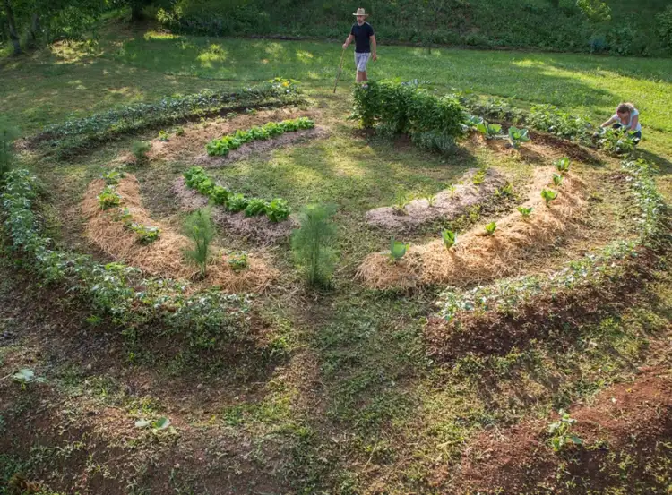 Die Gartenlasagne schafft einen lockeren und fruchtbaren Boden