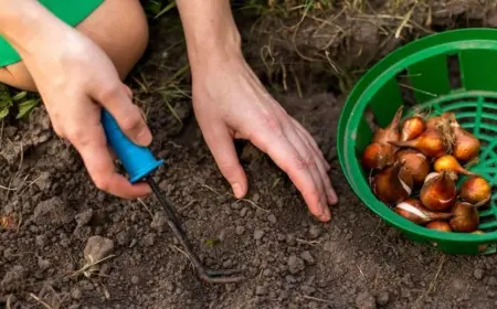 Gartenarbeit im Herbst - es ist Zeit zur Herbstbepflanzung