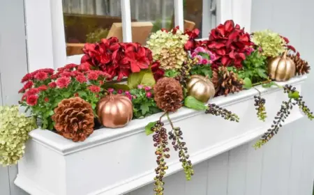 Herbstdeko mit Blumen im Blumenkasten vor dem Fenster mit Kürbissen und Hortensien