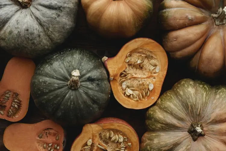 Herbstliche Gerichte mit Kürbissen zubereiten - So bereiten Sie das Gemüse je nach Sorte vor