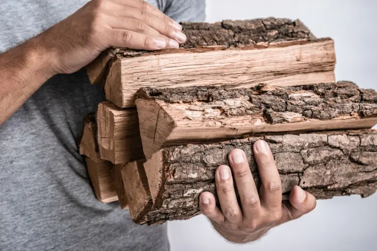 Holzfeuchte bei Brennholz durch Fühlen, Riechen und Tasten ermitteln