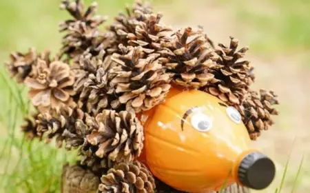 Igel basteln mit Tannenzapfen im Herbst aus PET-Flasche