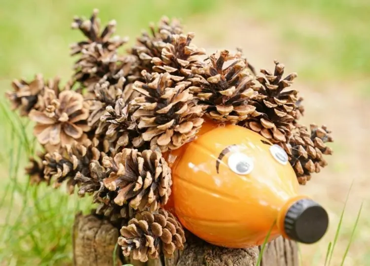 Igel basteln mit Tannenzapfen im Herbst aus PET-Flasche