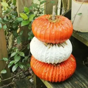 Kürbisse aus Abluftschlauch basteln für die Herbstdeko draußen