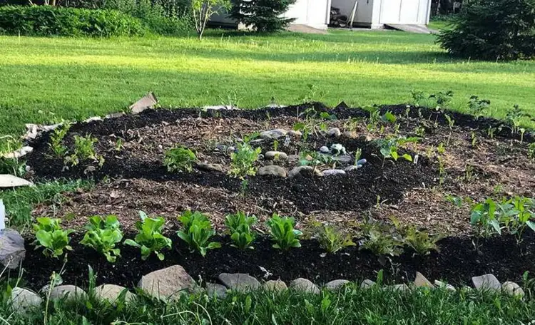 Lasagna Gardening zur Bodenverbesserung im eigenen Garten