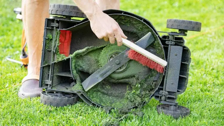 Nassen Rasen mähen und Messer regelmäßig reinigen