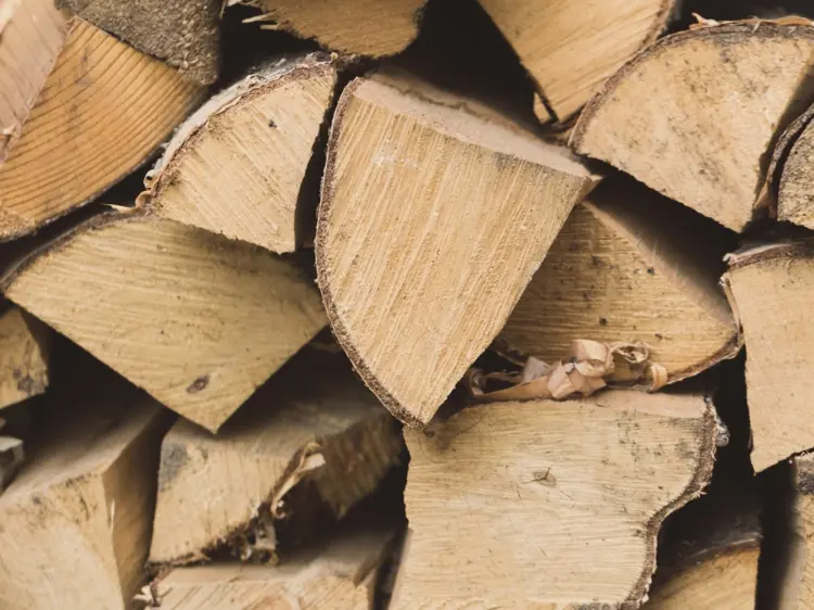 Nur trockenes Holz kann effizient brennen und wärmen